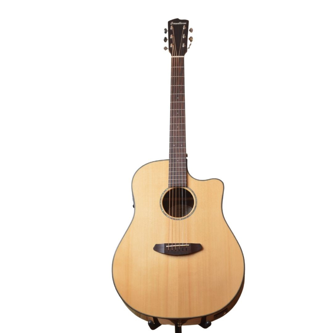 Breedlove Pursuit Dread EB