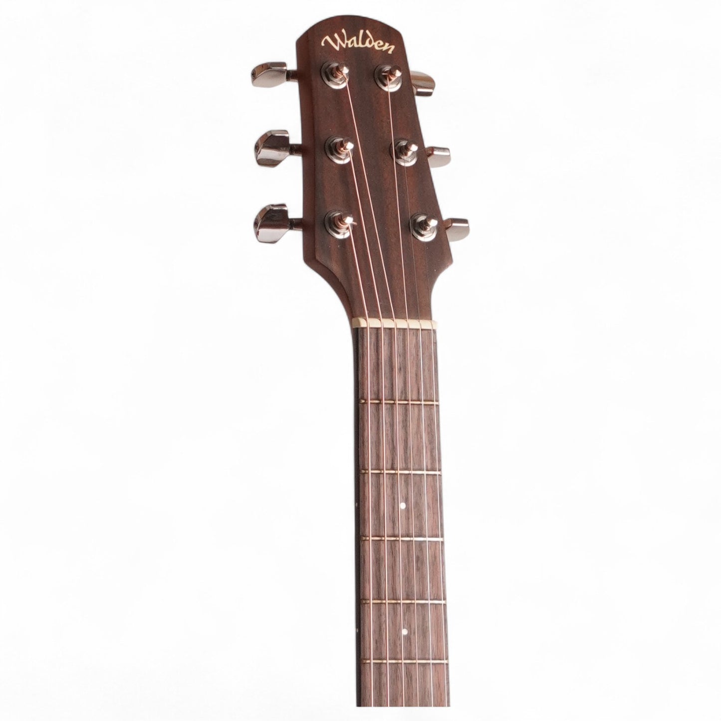 Walden G550CE – Grand Auditorium Electro-Acoustic