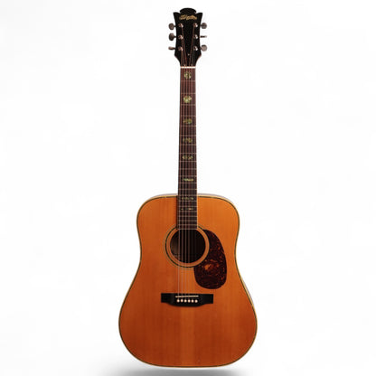 D’Agostino Acoustic – 1980s Vintage