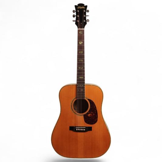 D’Agostino Acoustic – 1980s Vintage