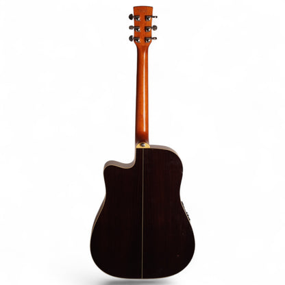 Ibanez Artwood – Electro-Acoustic Cutaway