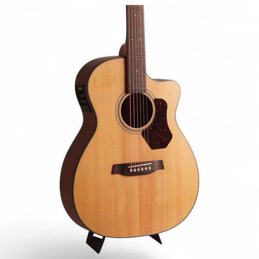 Walden G550CE – Grand Auditorium Electro-Acoustic